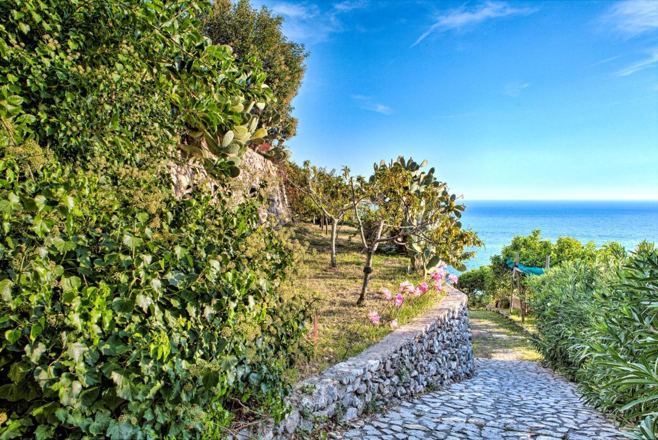 Villa Ad Maiori Buitenkant foto